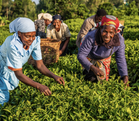 Female-farmers-in-africa